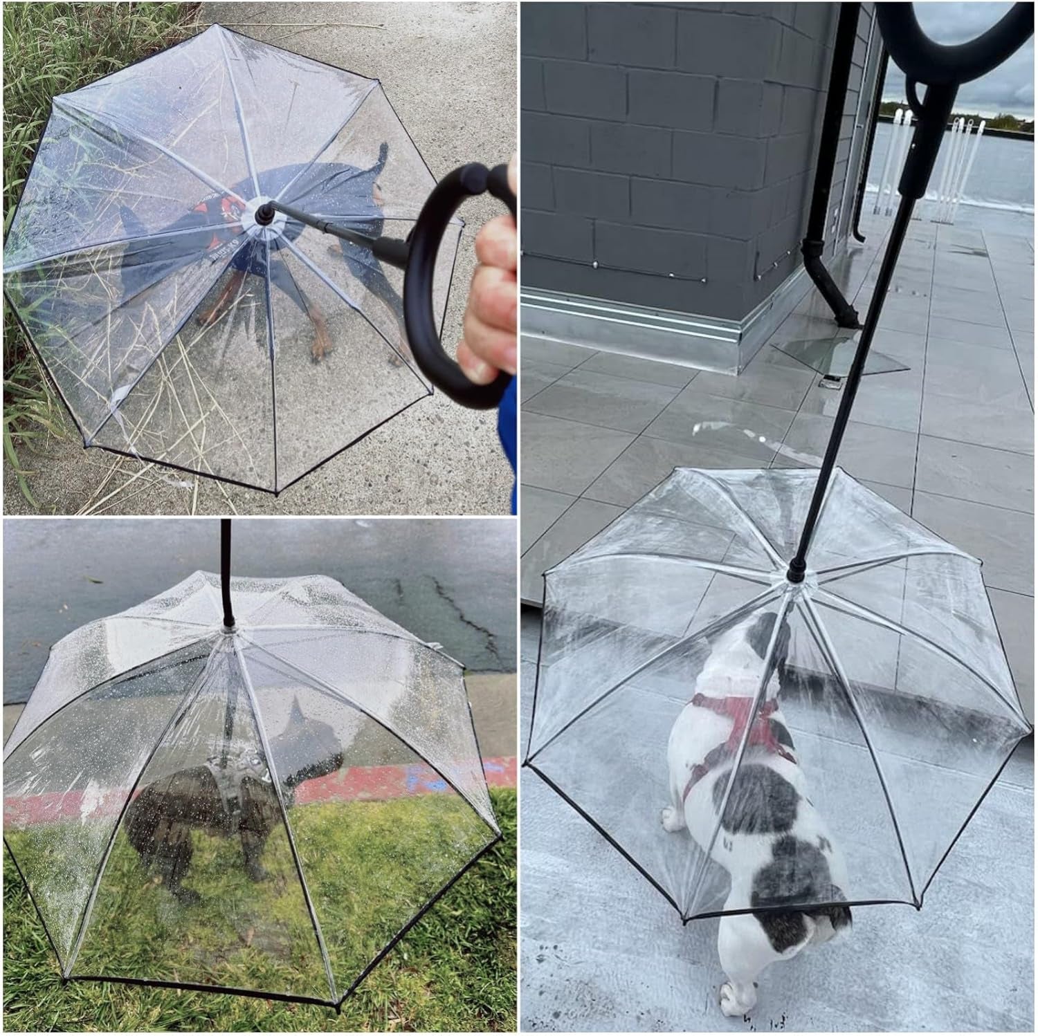Clear Dog Umbrella for Small Dogs, Self-Assembly Dog Umbrella Leash, Doggie Rain Umbrella, Puppy Walking Umbrella with Adjustable Leash